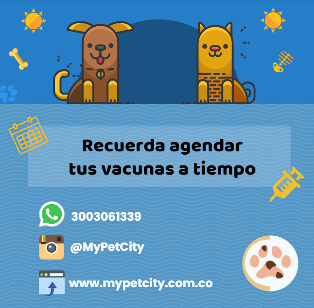 anuncio1
